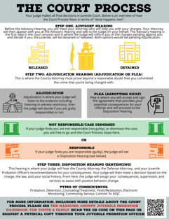 The Court Process (English)